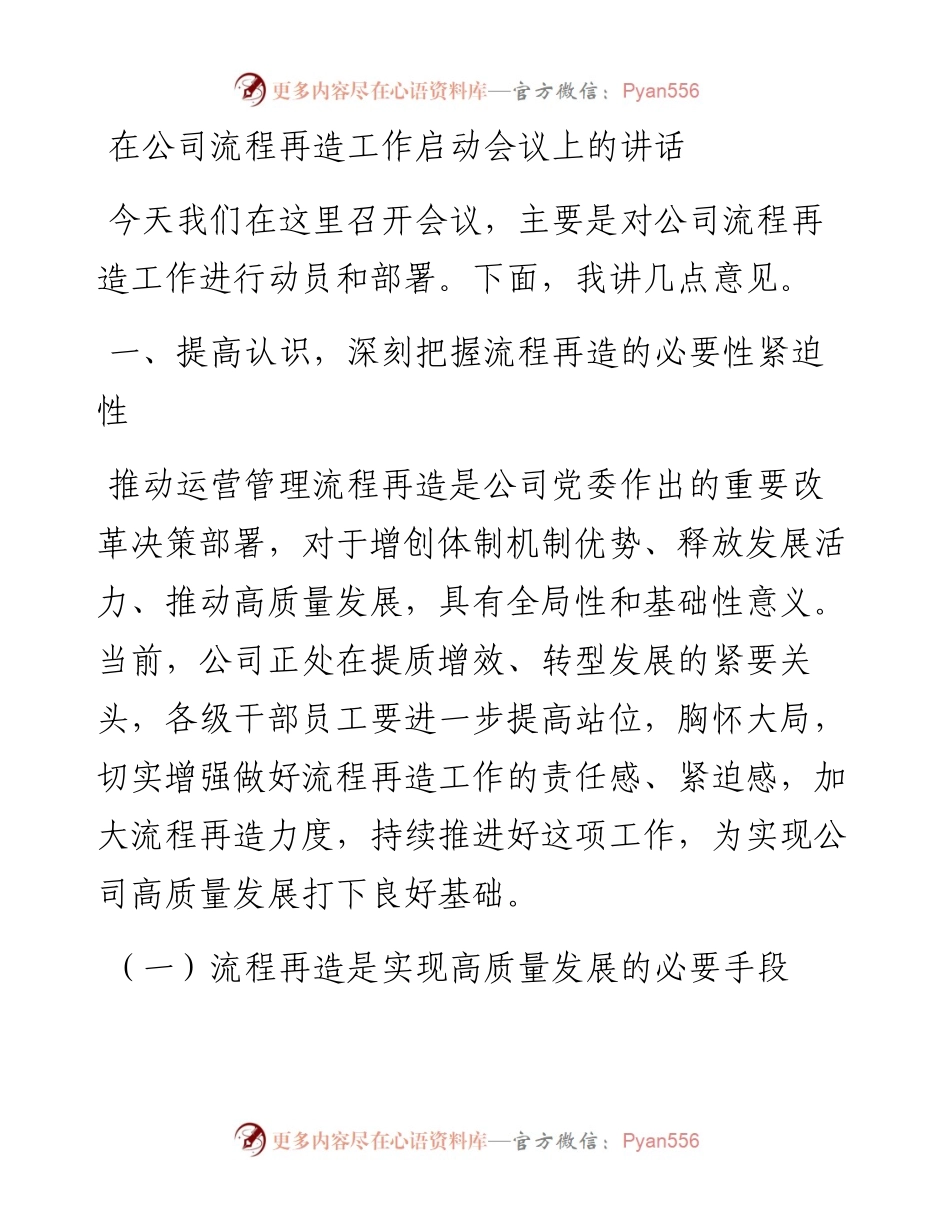 在公司流程再造工作启动会议上的讲话.docx_第1页