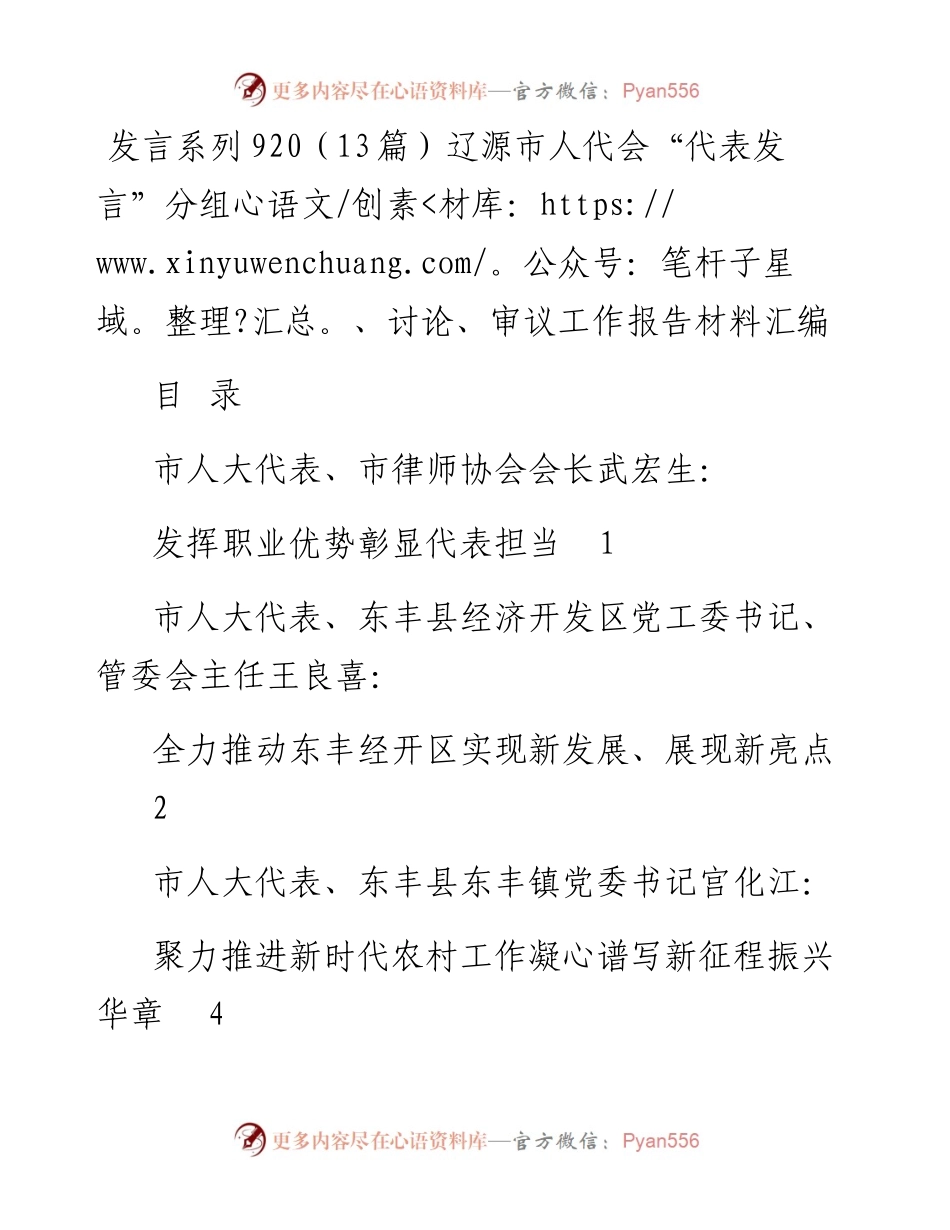发言系列920（13篇）辽源市人代会“代表发言”分组、讨论、审议工作报告材料汇编.docx_第1页