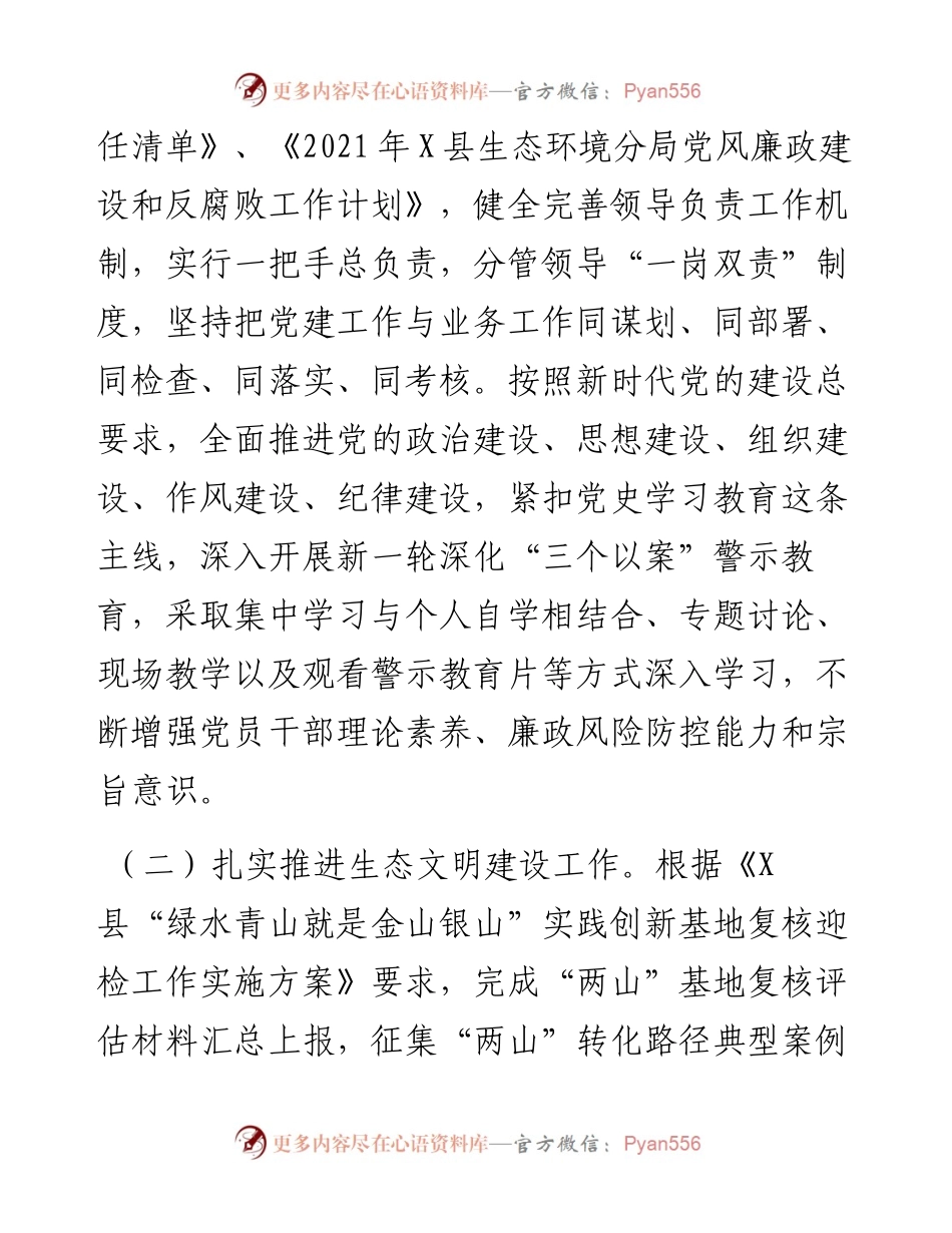 县生态环境分局工作总结及工作计划.docx_第2页