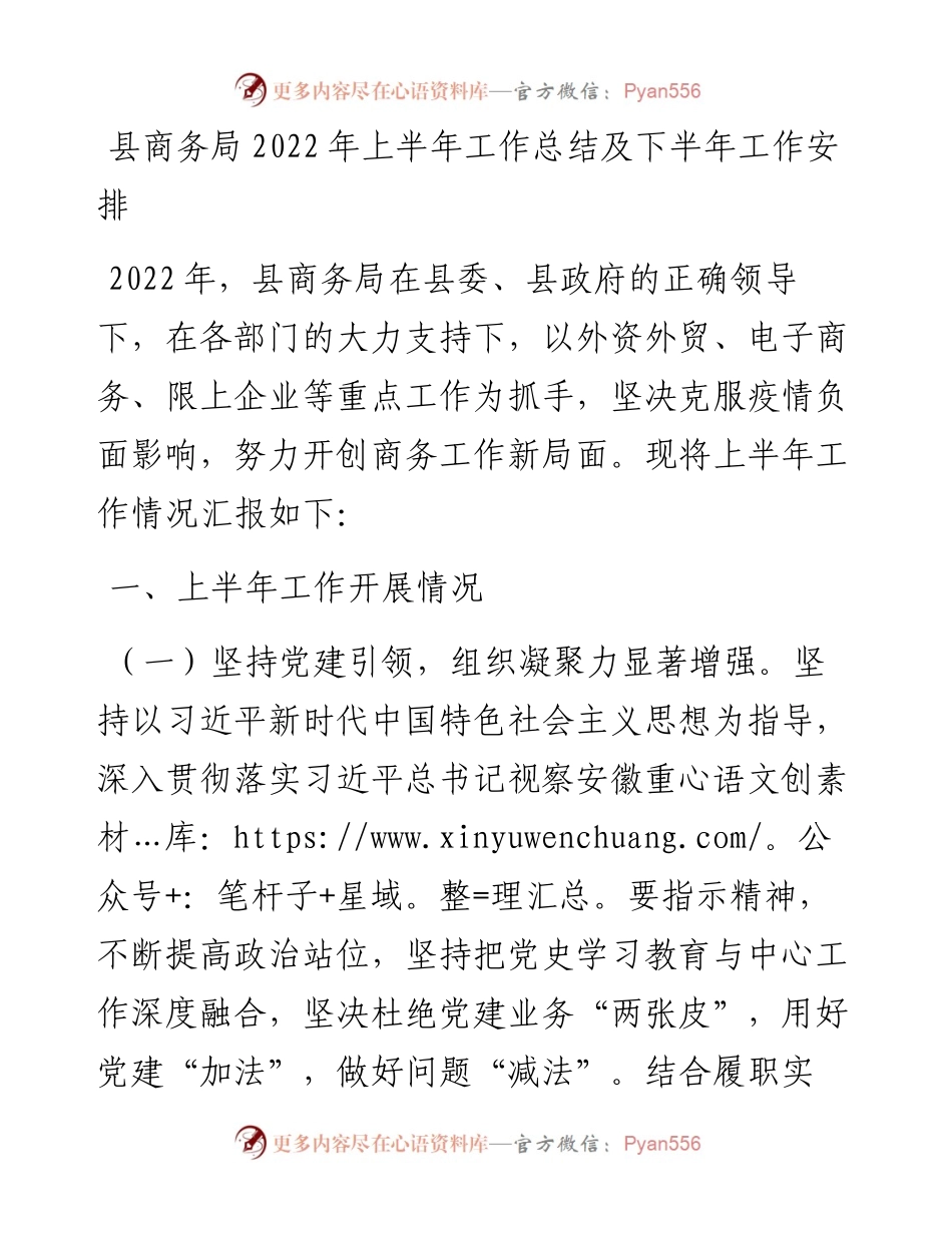 商务局上半年工作总结及下半年工作安排.docx_第1页