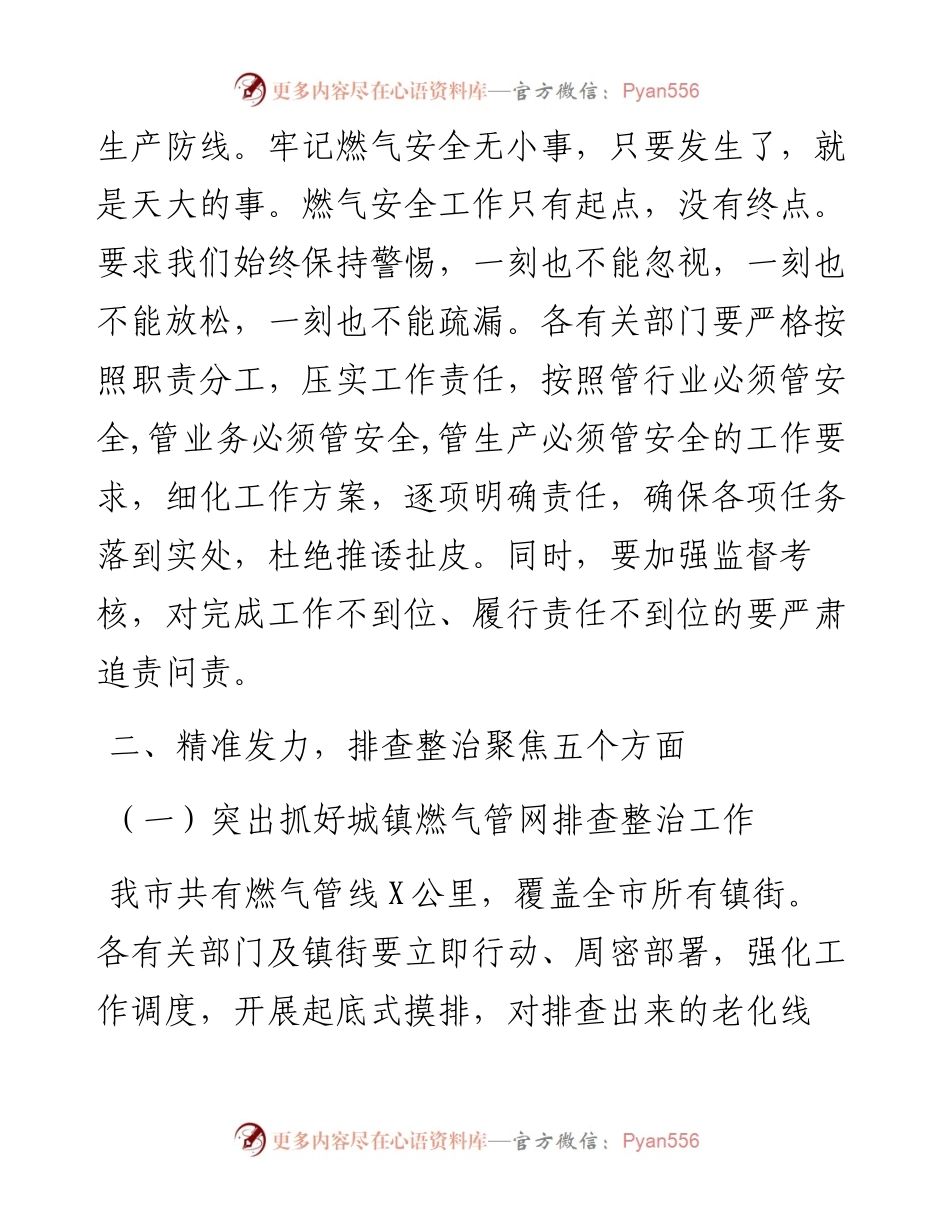 在全市燃气安全排查整治工作会议上的讲话.docx_第2页
