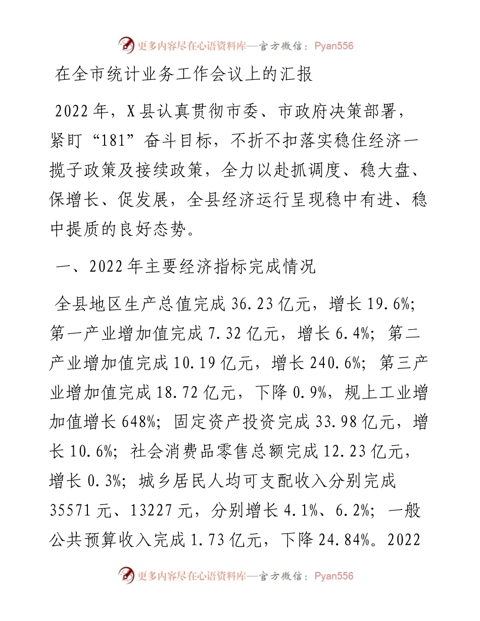 在全市统计业务工作会议上的汇报.docx_第1页