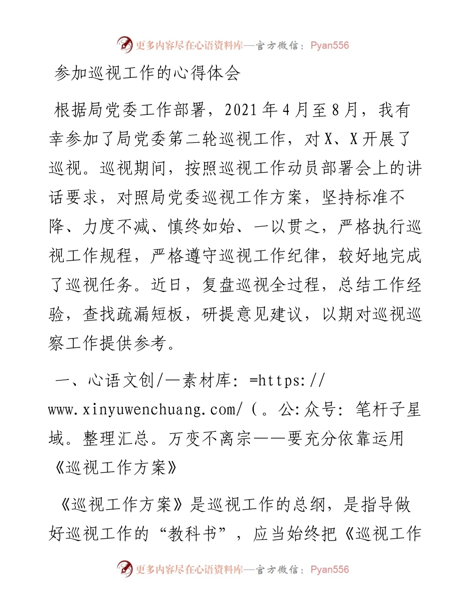 参加巡察巡视工作的经验总结（心得体会）.docx_第1页