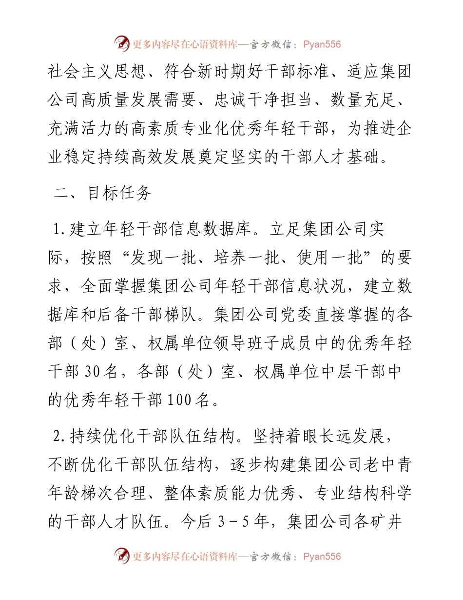团公司关于适应新时代要求大力发现培养选拔优秀年轻干部的中期规划.docx_第2页