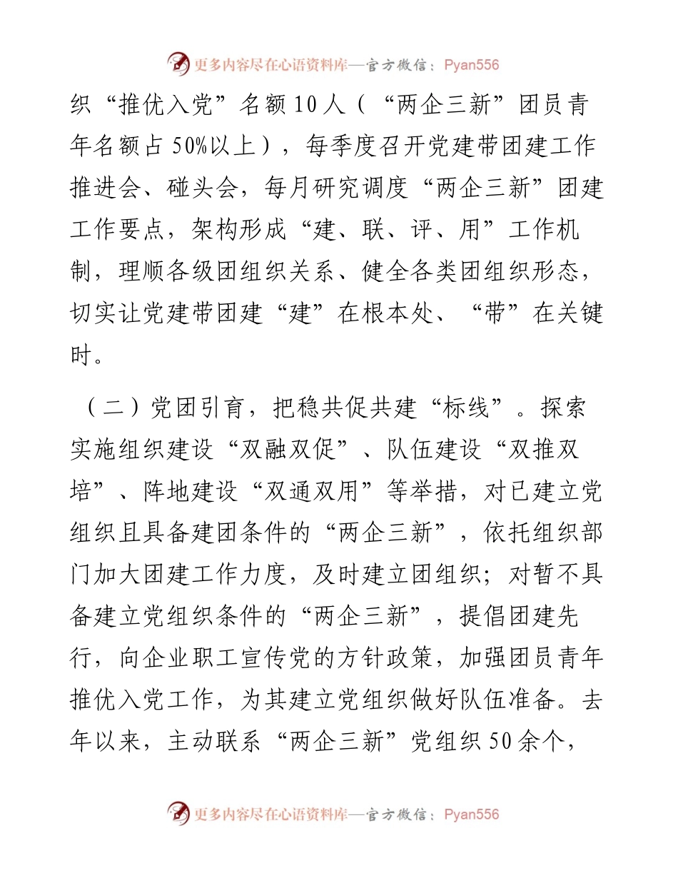 团区委在市团委“两企三新”团建工作座谈会上的交流发言.docx_第2页