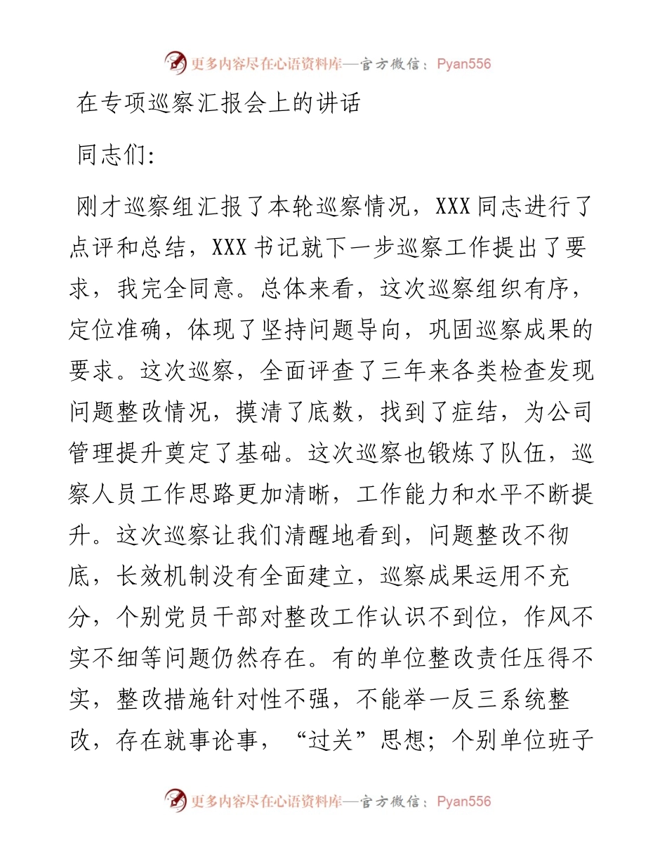 在专项巡察汇报会上的讲话.docx_第1页