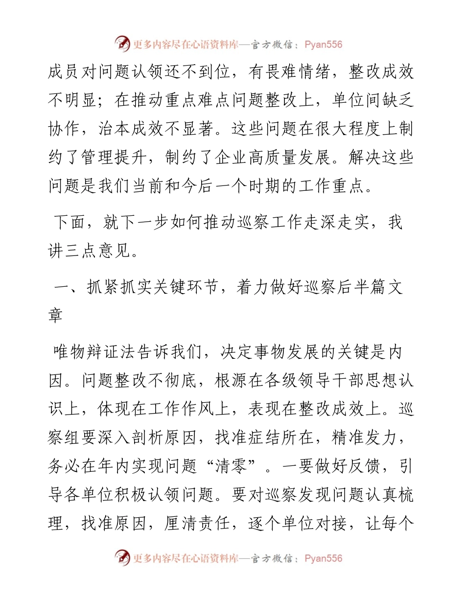在专项巡察汇报会上的讲话.docx_第2页