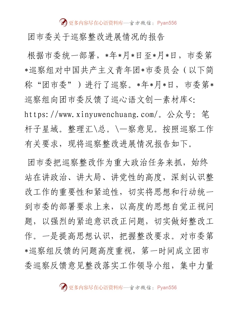 团市委关于巡察整改进展情况的报告.docx_第1页