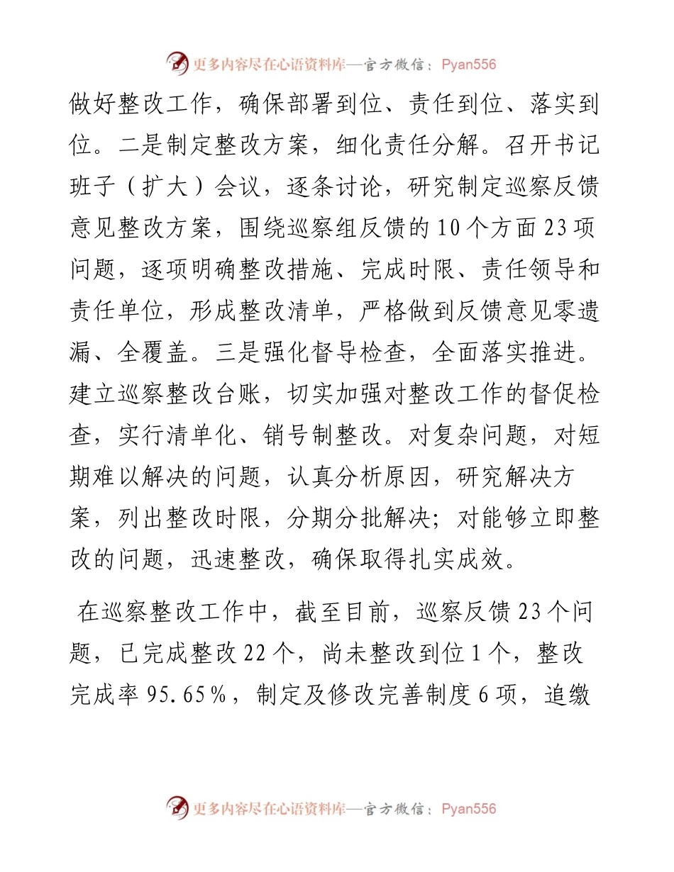 团市委关于巡察整改进展情况的报告.docx_第2页