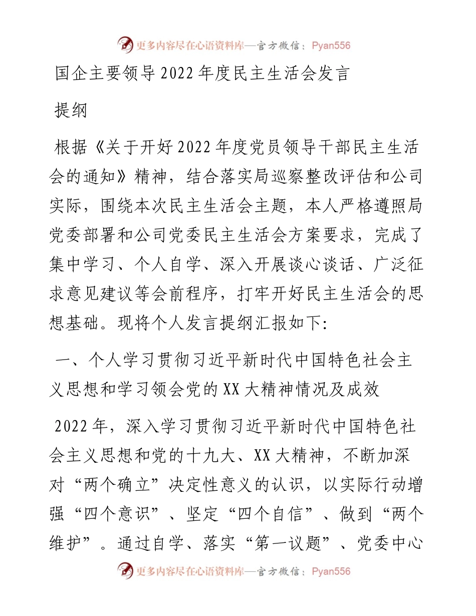 国企主要领导度民主生活会发言提纲.docx_第1页