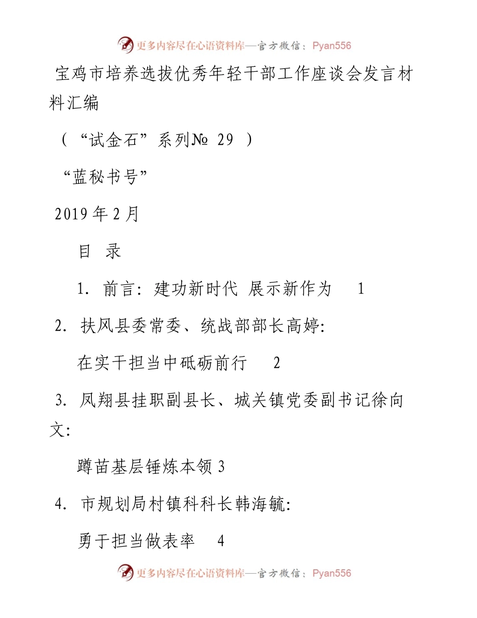 发言系列29（10篇）宝鸡市培养选拔优秀年轻干部工作座谈会发言材料汇编.docx_第1页