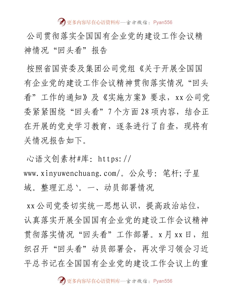 国企党建回头看：公司贯彻落实全国国有企业党的建设工作会议精神情况“回头看”报告.docx_第1页