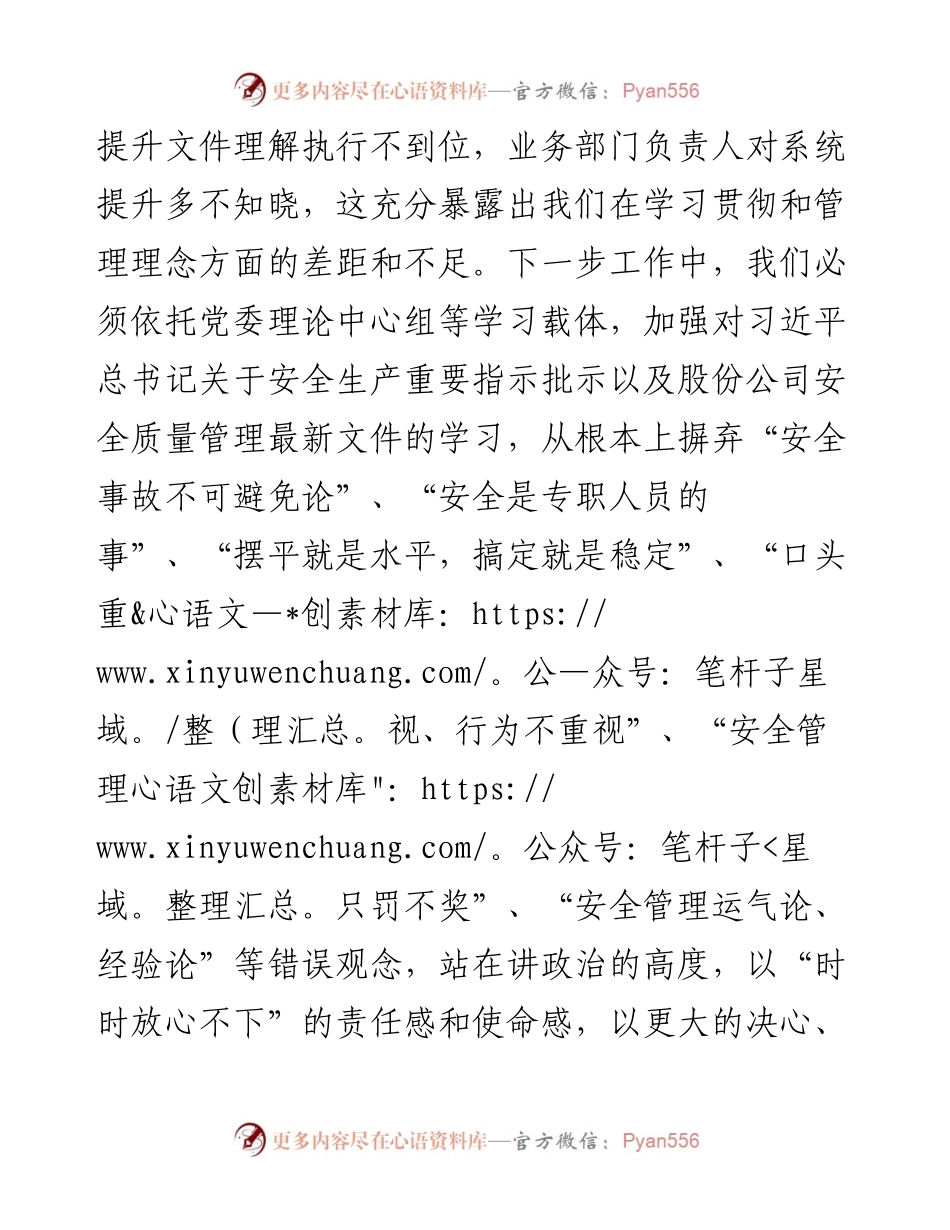 在公司推进安全质量管理系统提升工作会上的发言.docx_第2页