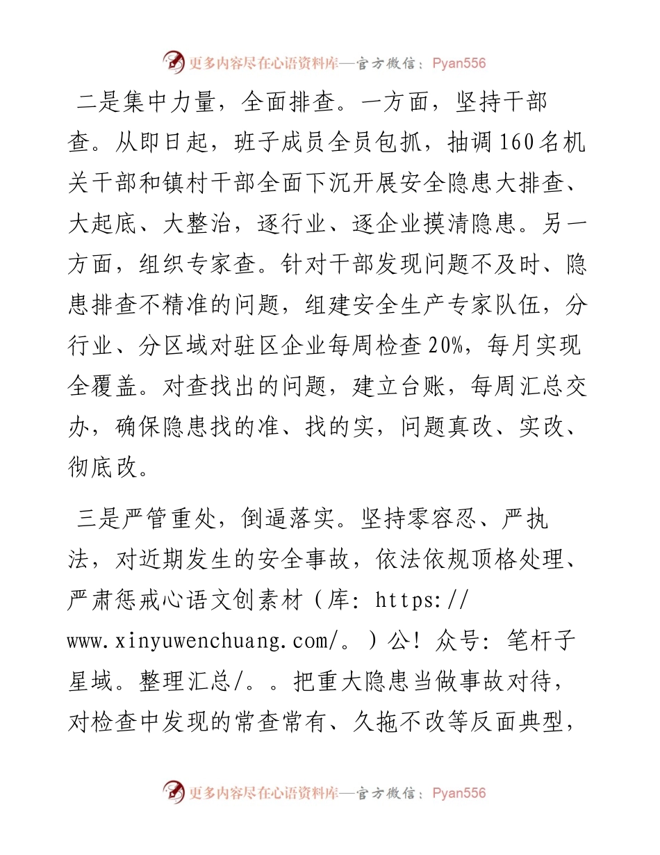 在全市安全生产视频会上的发言稿.docx_第2页