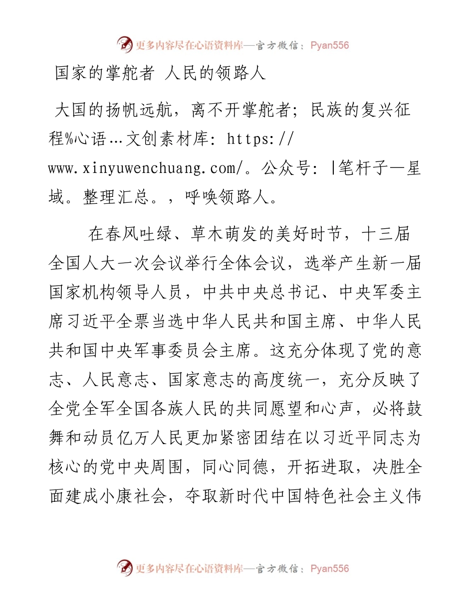 国家的掌舵者 人民的领路人.docx_第1页