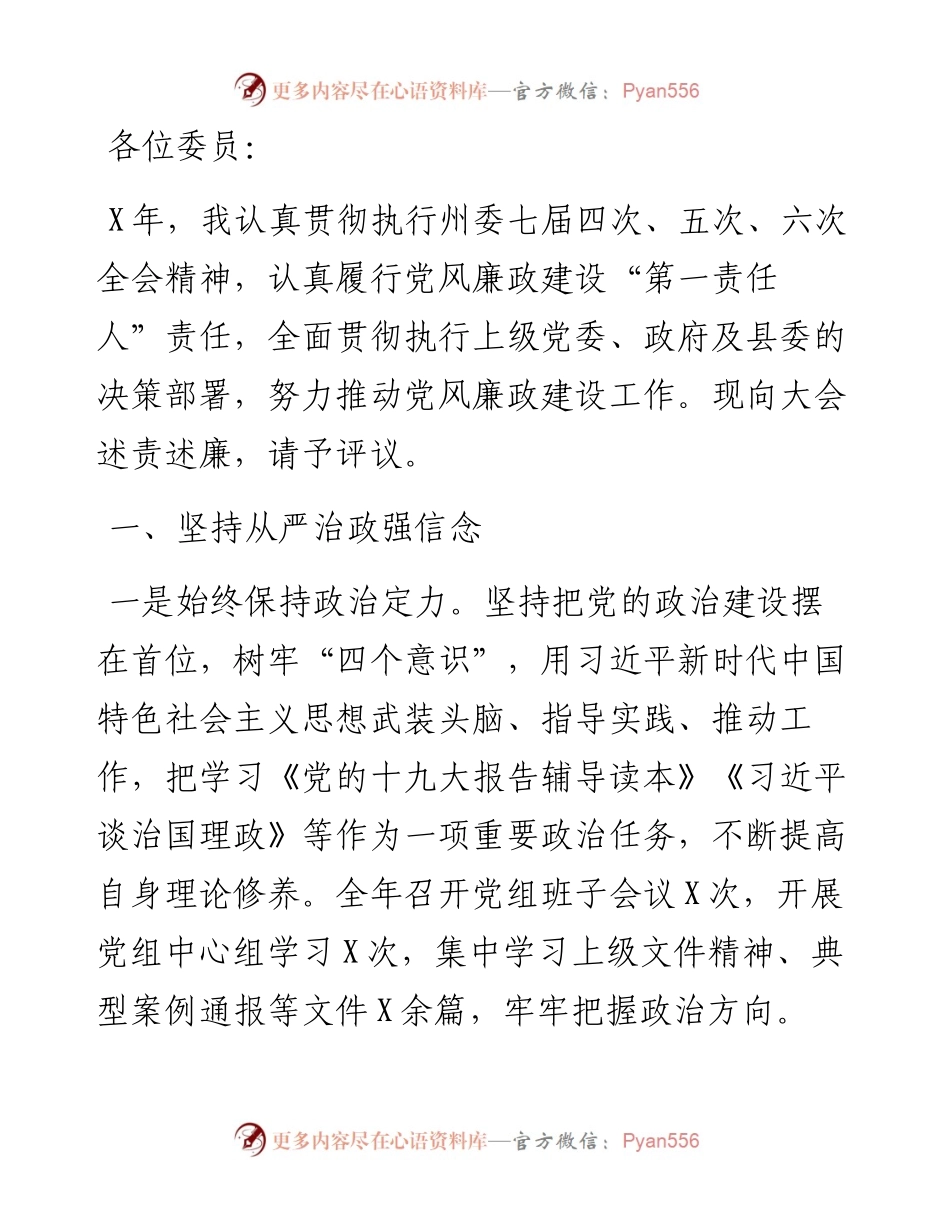 县政府党组书记述责述廉报告.docx_第1页