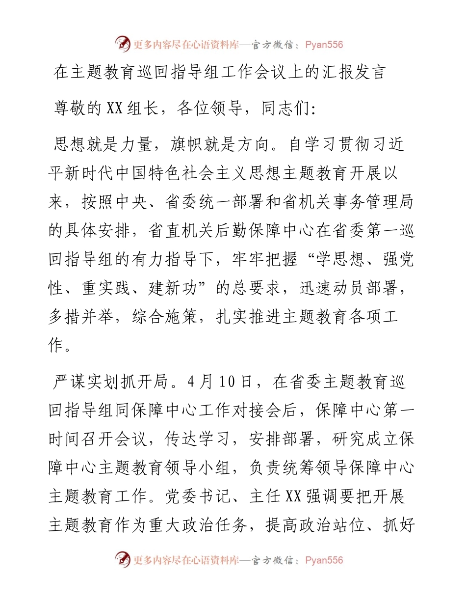 在主题教育巡回指导组工作会议上的汇报发言.docx_第1页