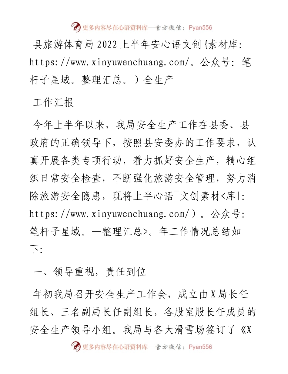 县旅游体育局上半年安全生产工作汇报.docx_第1页