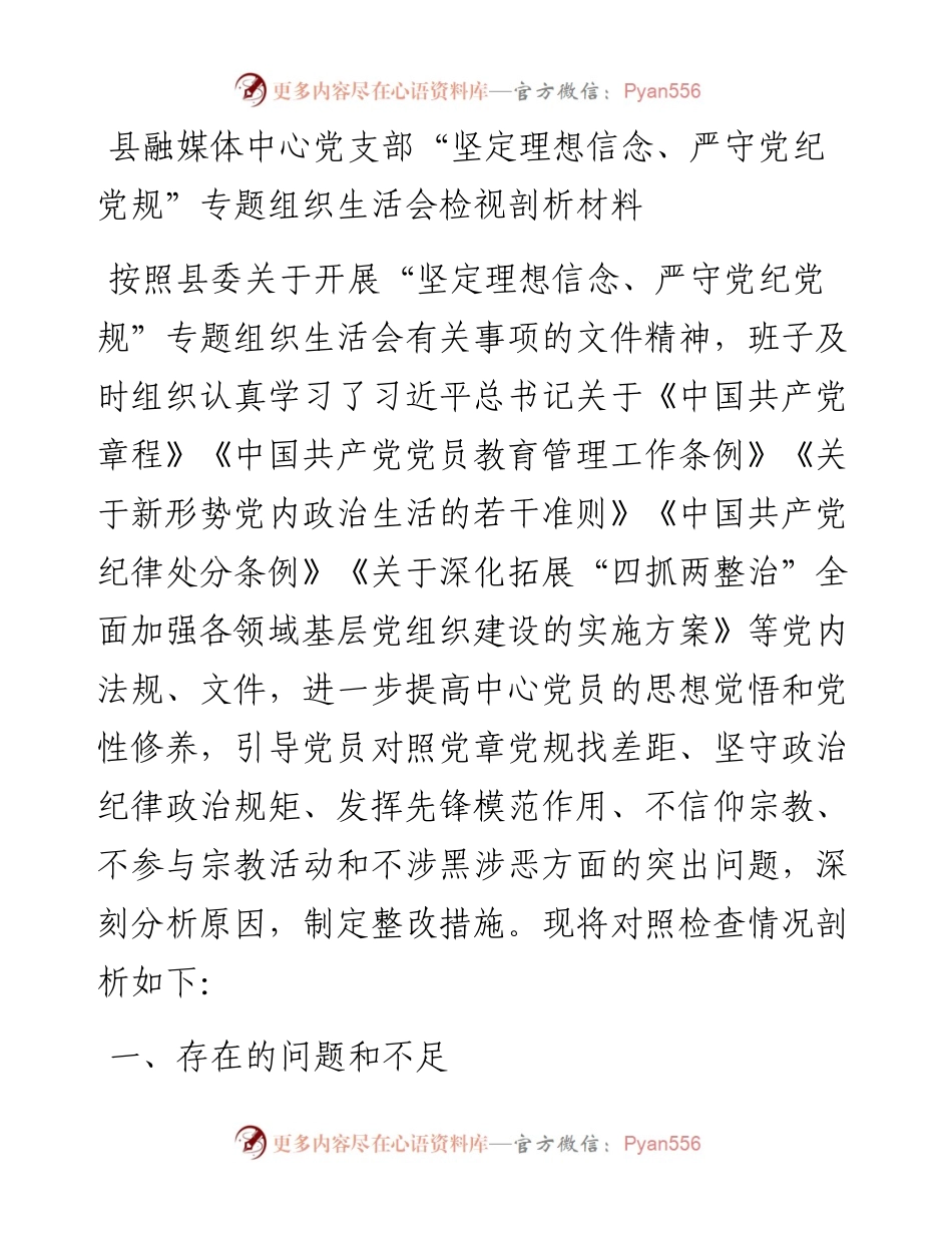 县融媒体中心党支部“坚定理想信念、严守党纪党规”专题组织生活会检视剖析材料.docx_第1页