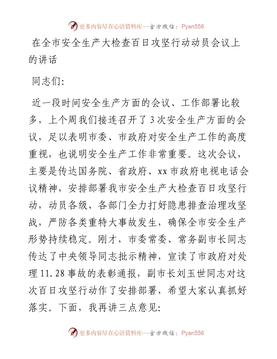 在全市安全生产大检查百日攻坚行动动员会议上的讲话.docx_第1页