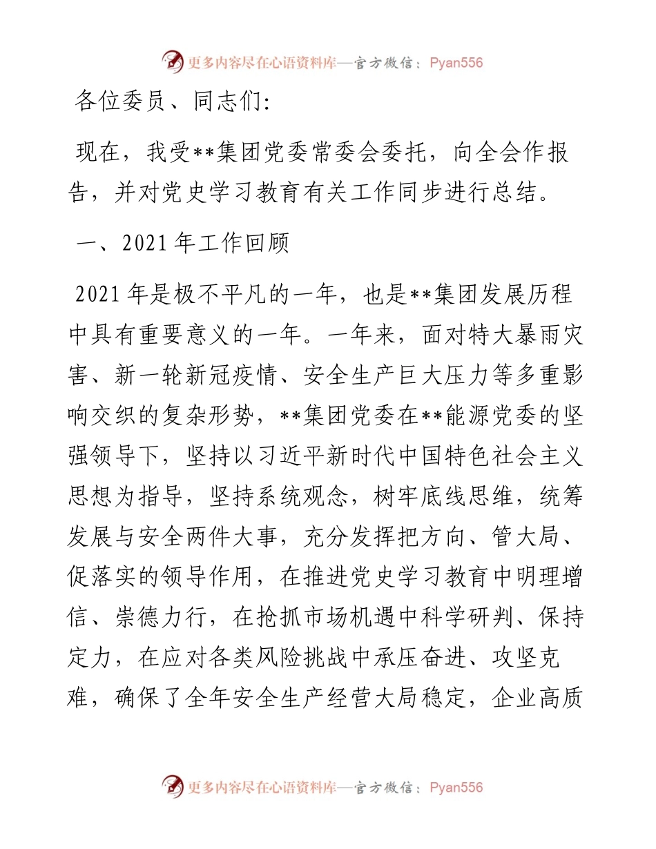 在公司委员会全体会议上的报告.docx_第1页