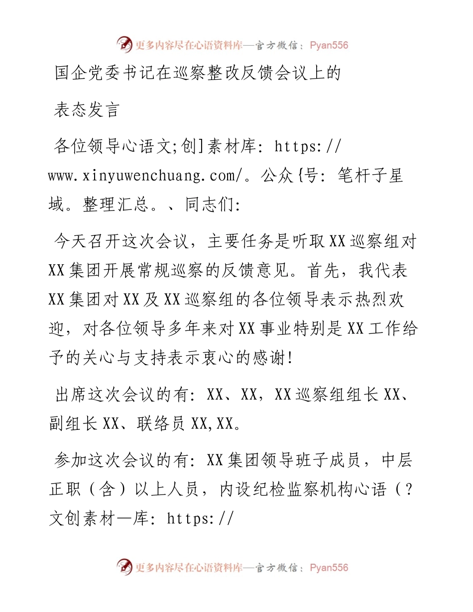 国企党委书记在巡察整改反馈会议上的表态发言.docx_第1页