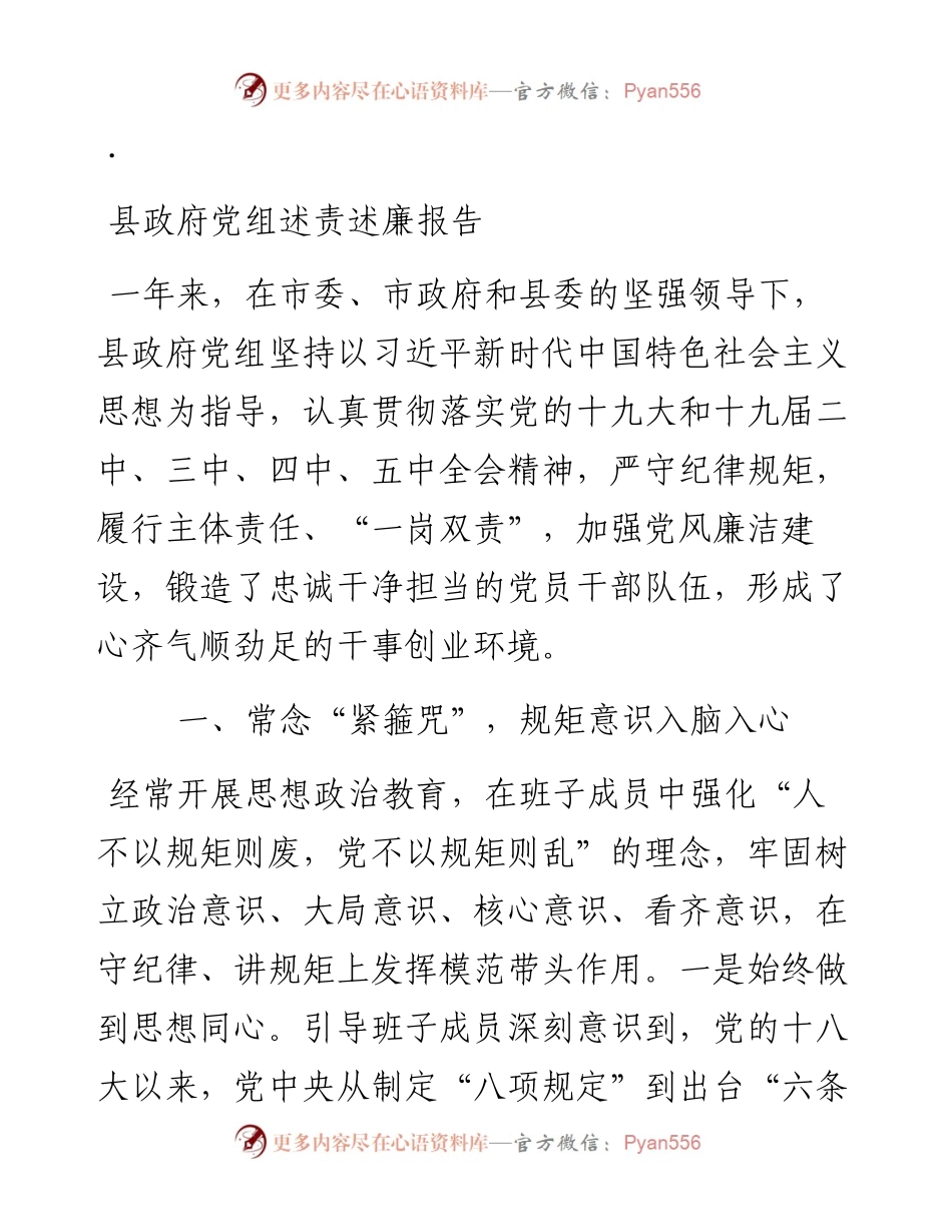 县政府党组述责述廉报告.docx_第1页
