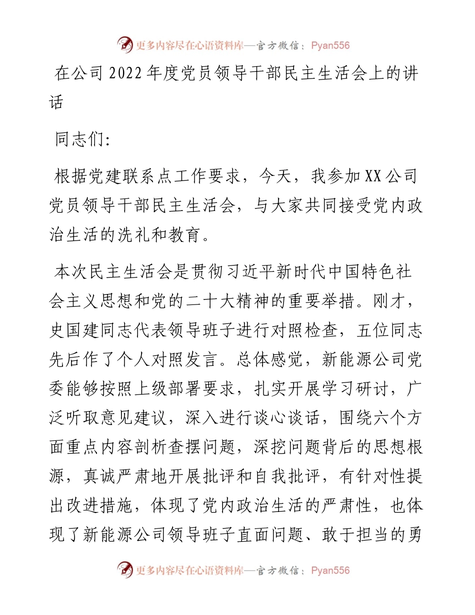 在公司度党员领导干部民主生活会上的讲话.docx_第1页