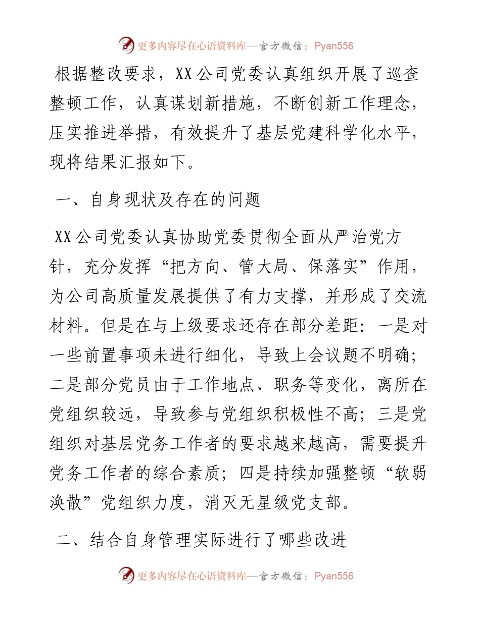 国企单位公司党委巡察问题整顿总结报告.docx_第1页