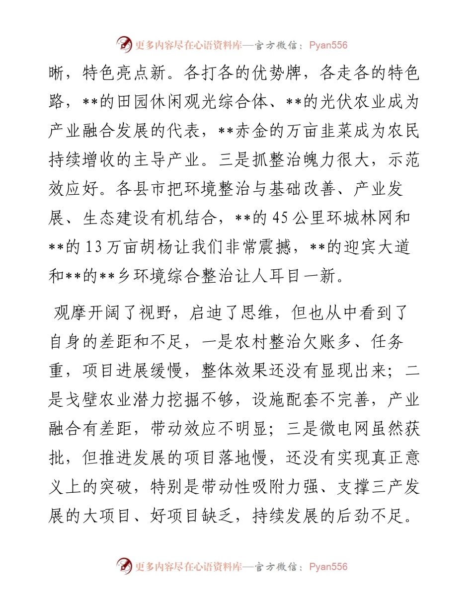 在全市项目环境整治农村产业观摩点评表态发言.docx_第2页