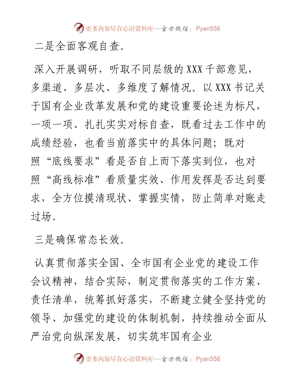 国企党建回头看：国企党建工作会议精神贯彻落实情况回头看的自查情况报告.docx_第2页
