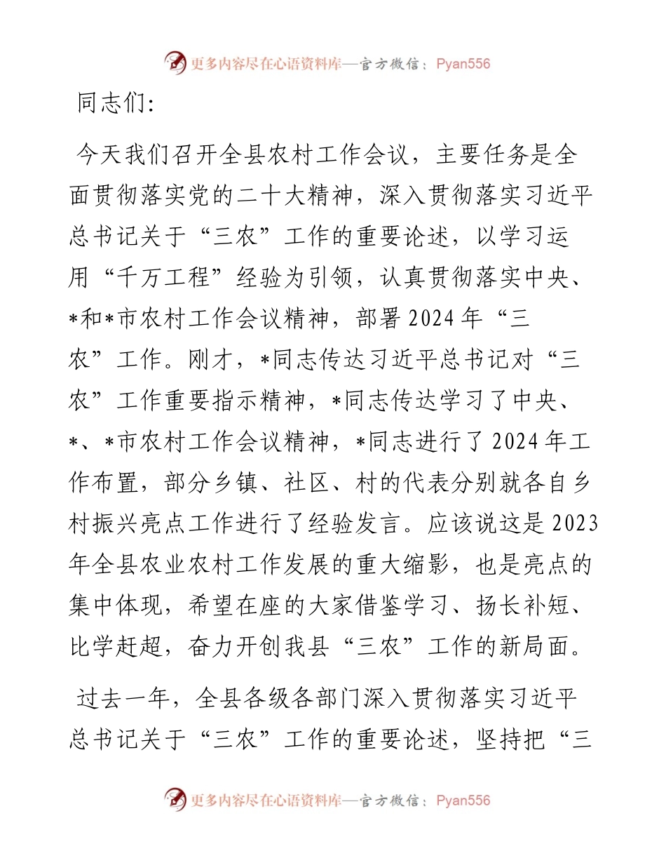 在2024年农村工作会议上的讲话.docx_第1页