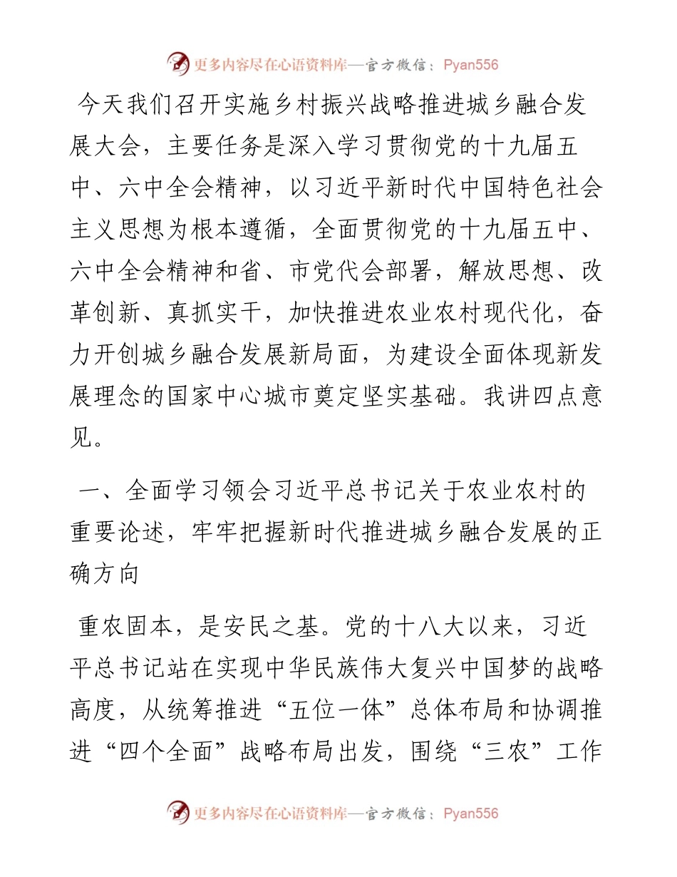 在X市实施乡村振兴战略推进城乡融合发展大会上的讲话.docx_第1页
