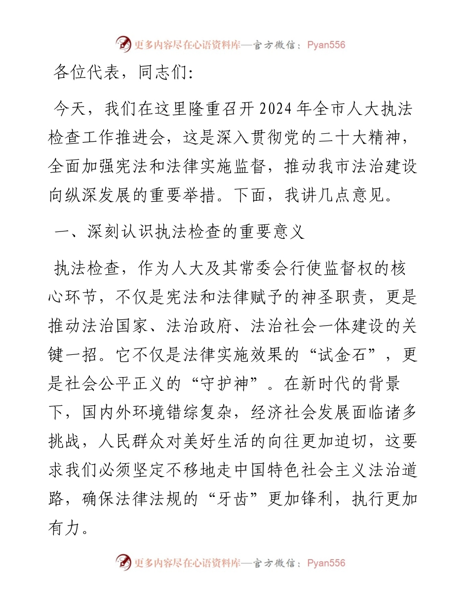 在2024年全市人大执法检查工作推进会上的讲话.docx_第1页