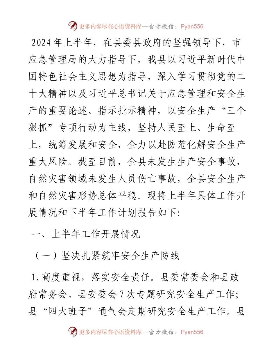 县应急管理局2024年度上半年工作总结及下半年工作计划.docx_第1页
