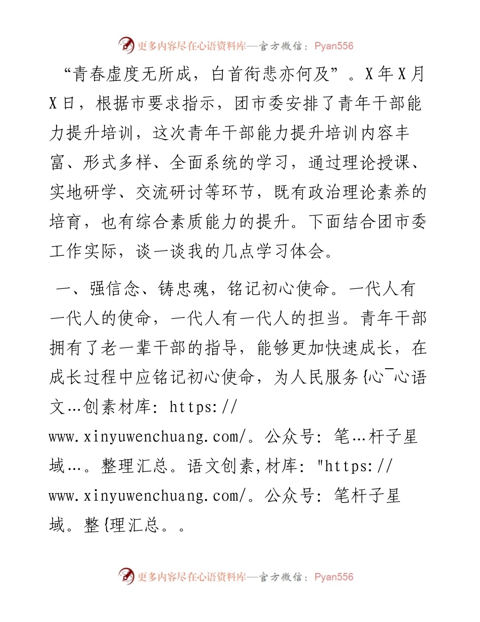 团市委青年干部能力提升培训学习心得体会.docx_第1页
