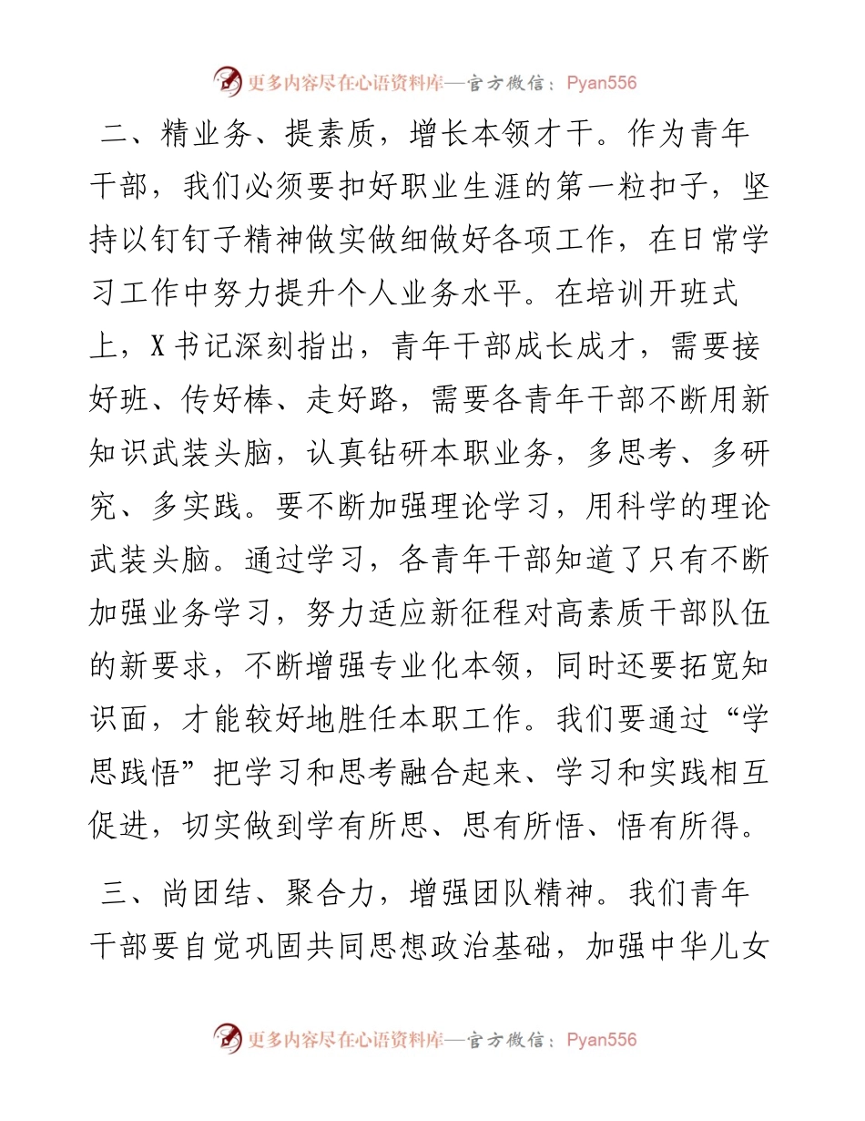 团市委青年干部能力提升培训学习心得体会.docx_第2页