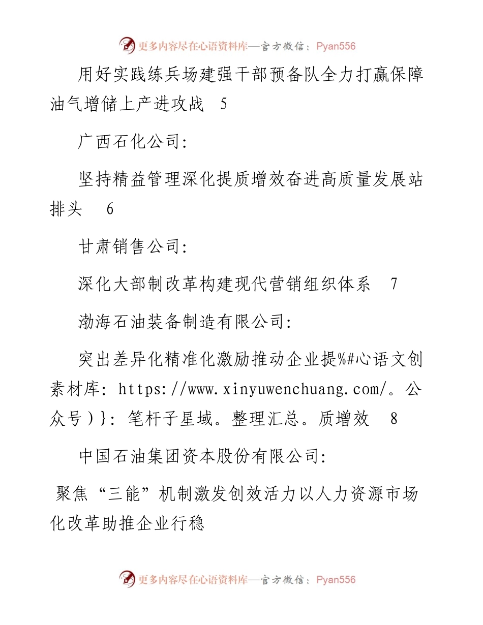 发言系列508（8篇）中国石油集团公司 领导干部会议发言材料汇编.docx_第2页