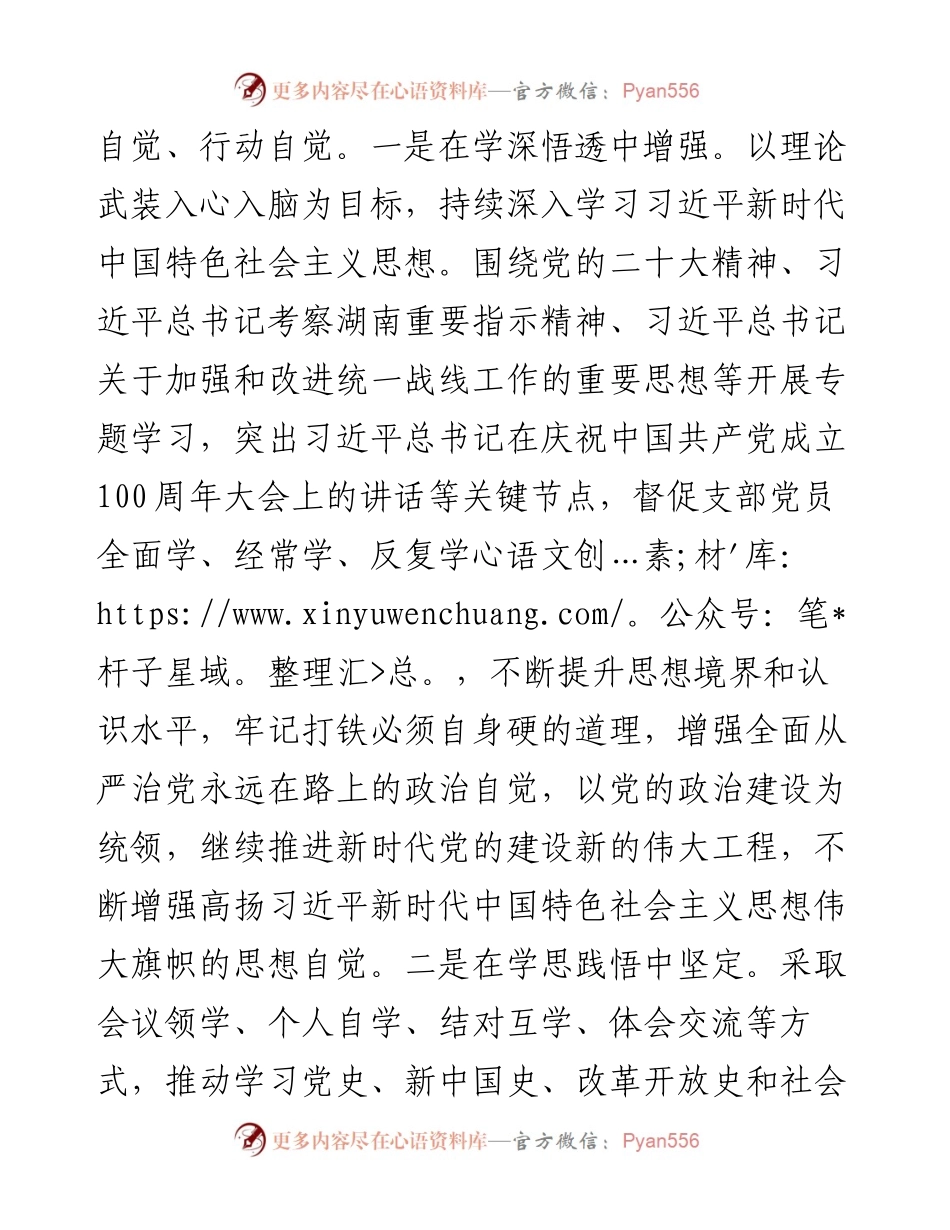 在党支部规范化建设交流会上的发言材料.docx_第2页