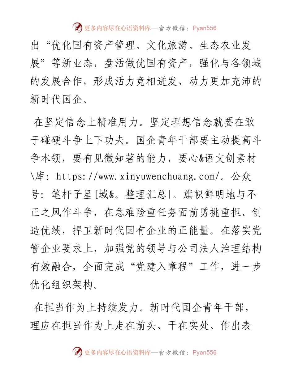 国资委主任中心组研讨发言：在新时代新征程中彰显国企青年干部的担当.docx_第2页