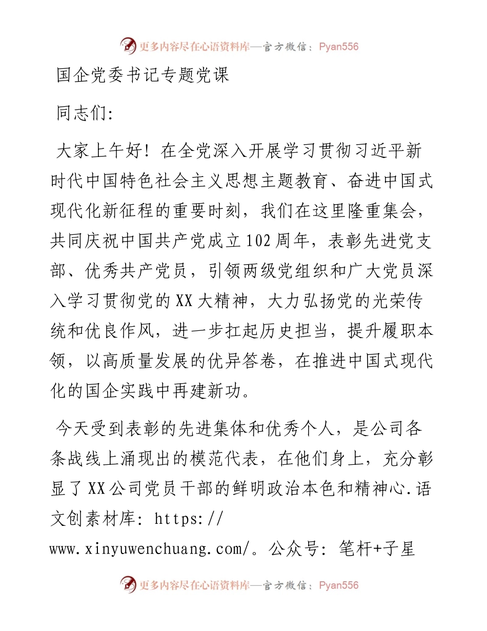 国企党委书记专题党课(1).docx_第1页