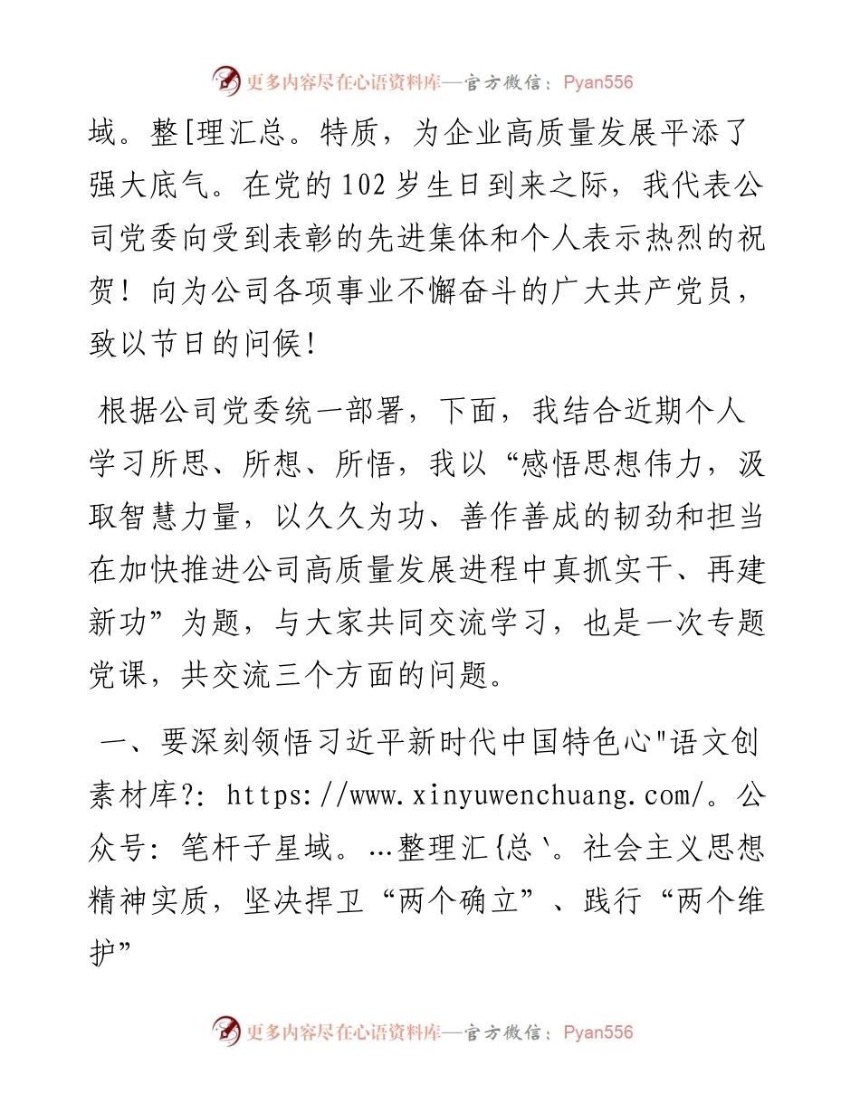 国企党委书记专题党课(1).docx_第2页