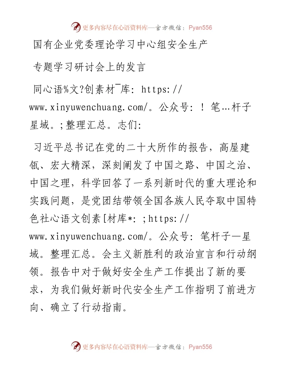 国有企业党委理论学习中心组安全生产专题学习研讨会上的发言.docx_第1页