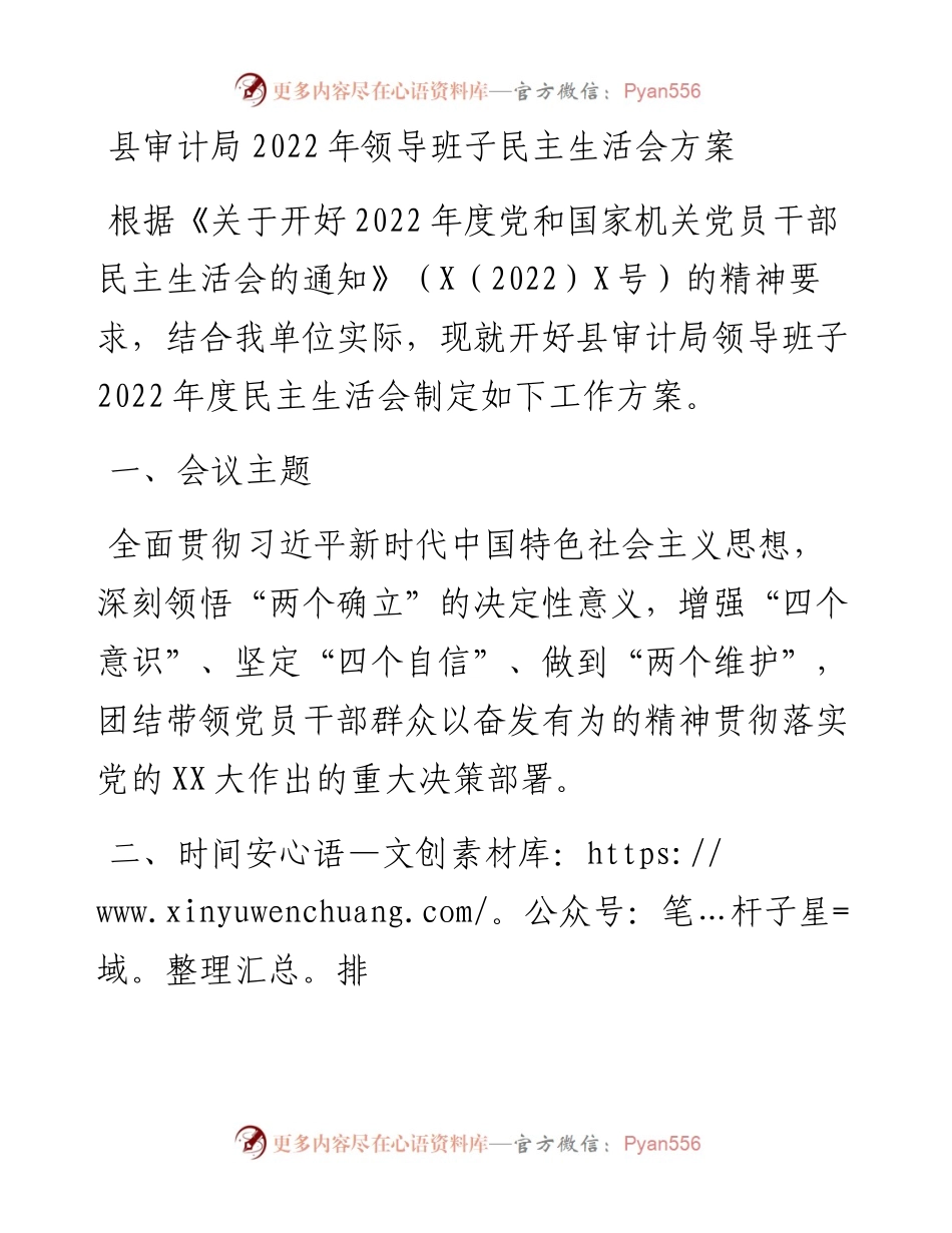 县审计局领导班子民主生活会方案.docx_第1页