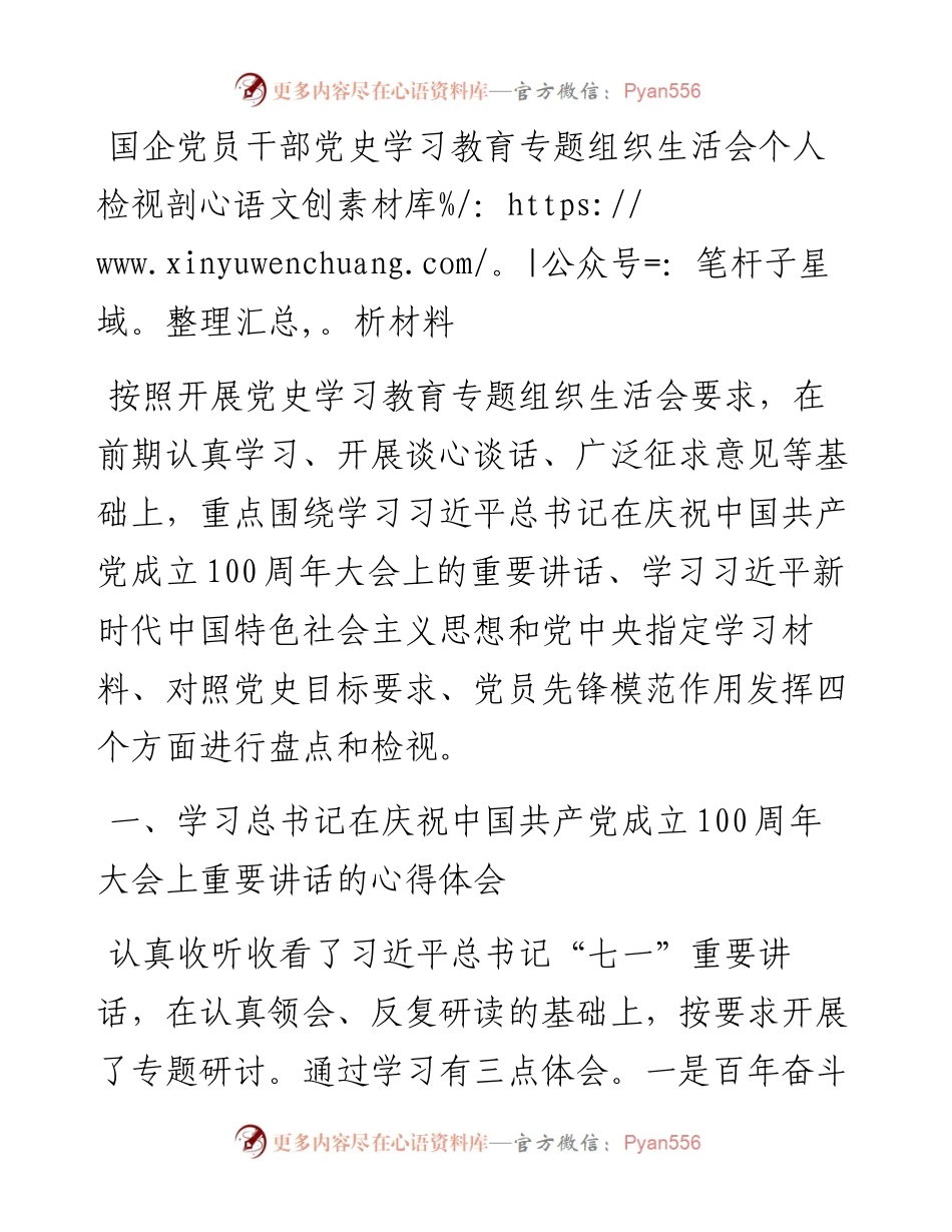 国企党员干部党史学习教育专题组织生活会个人检视剖析材料.docx_第1页