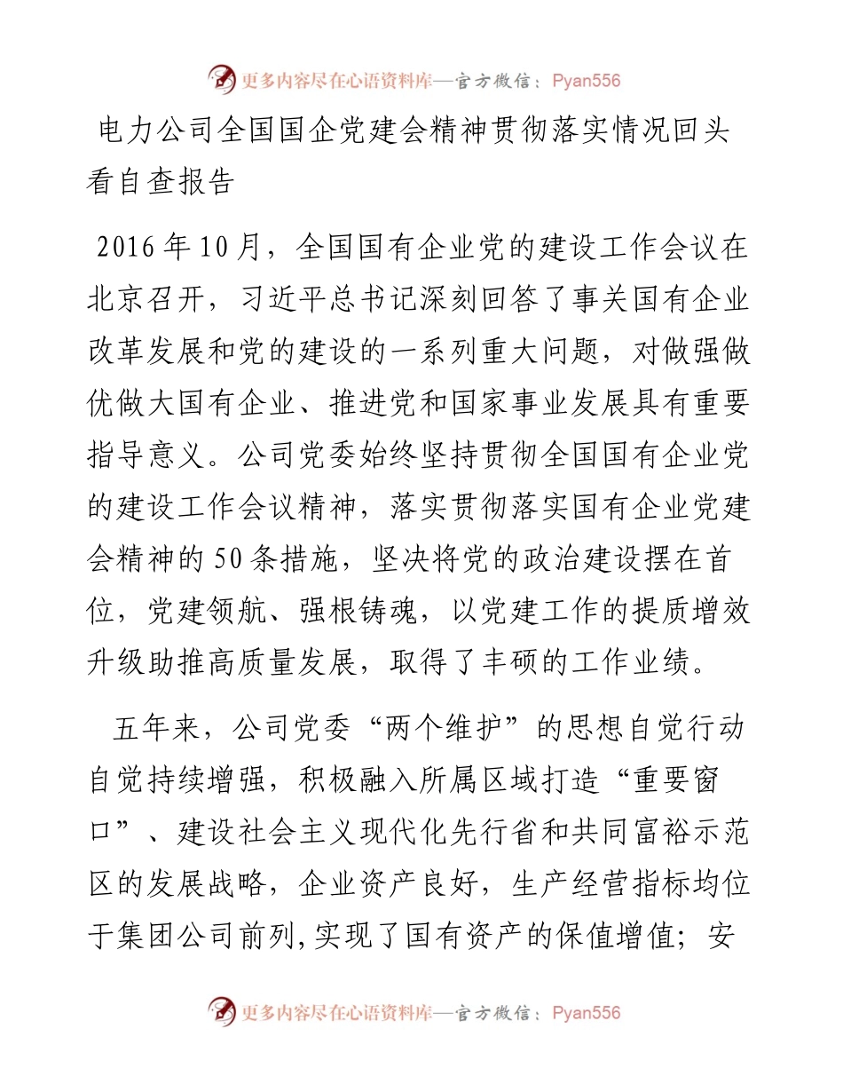 国企党建回头看：电力公司全国国企党建会精神贯彻落实情况回头看自查报告.docx_第1页
