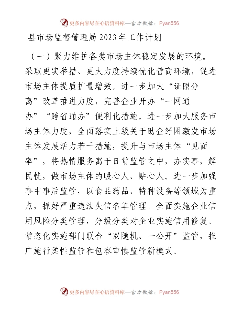 县市场监督管理局2023年工作计划.docx_第1页