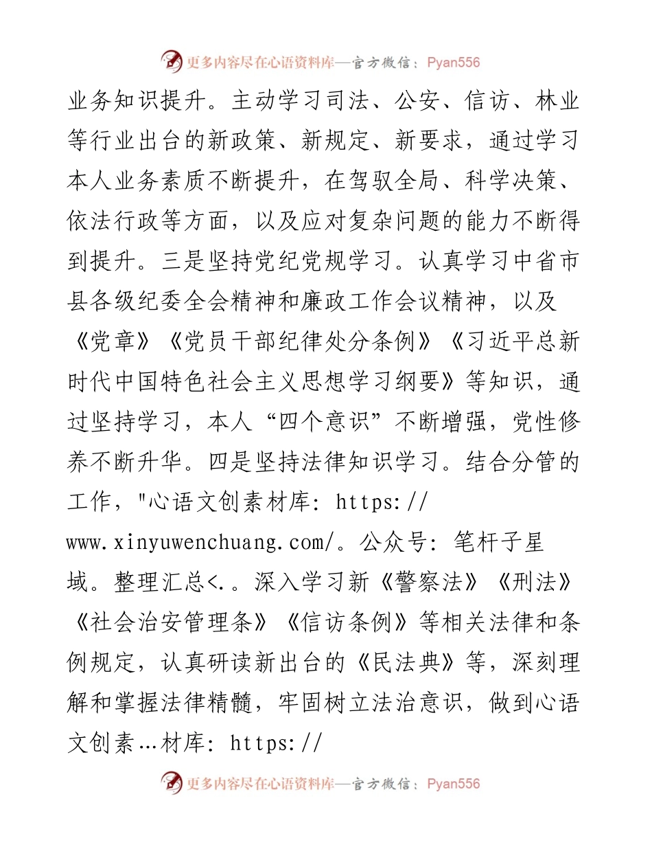 县政府副县长、公安局长述职述廉述效报告.docx_第2页