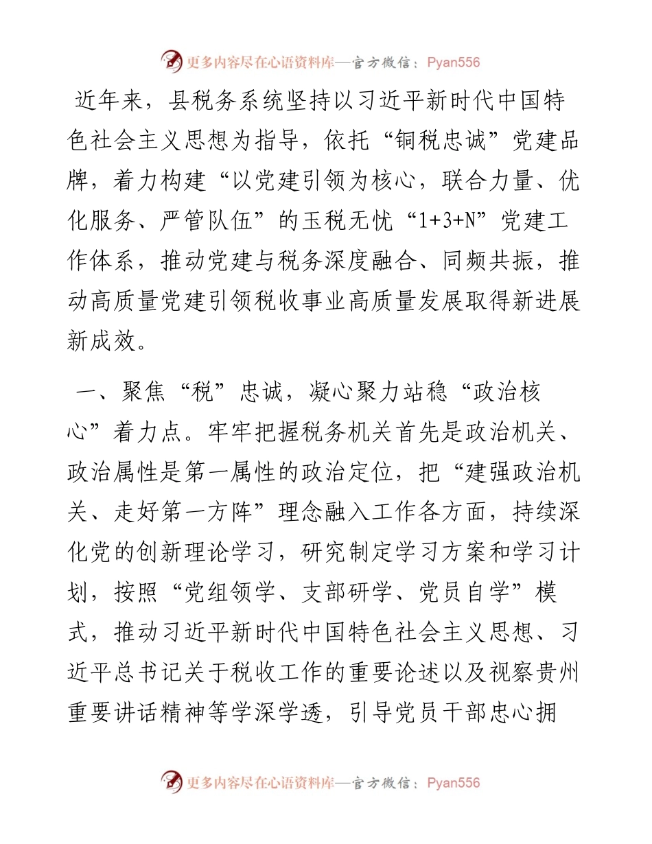 县税务局党组书记在党建引领高质量发展座谈会上的交流发言.docx_第1页