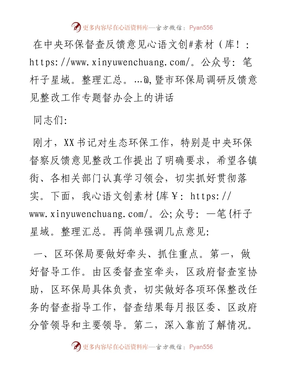 在中央环保督查反馈意见暨市环保局调研反馈意见整改工作专题督办会上的讲话.docx_第1页